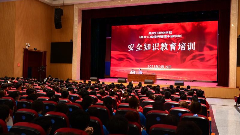 实操与理论：职业培训中的双重世界